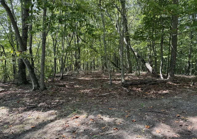 3rd image of 0 Spence Ln, Hilham, TN 38568 | MLS# 3282498