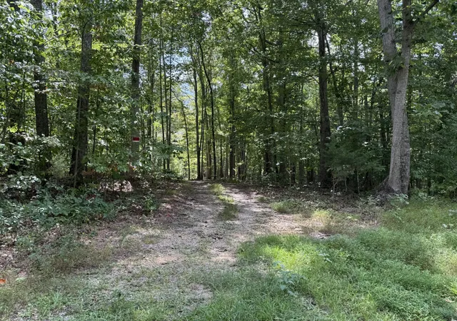 4th image of 0 Spence Ln, Hilham, TN 38568 | MLS# 3282498