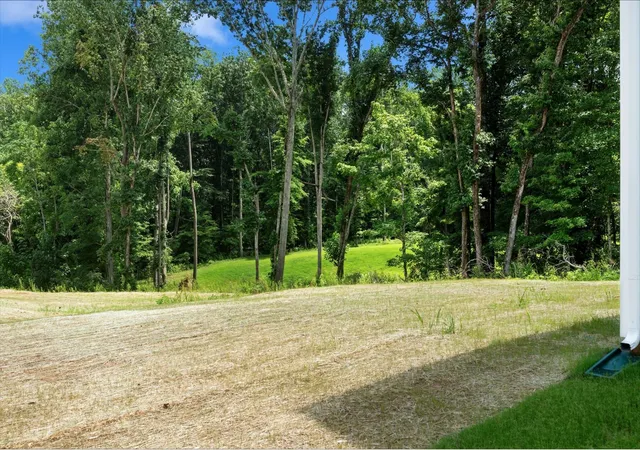 35th image of 2263 Ireland Way, Clarksville, TN 37042 | MLS# 3283692