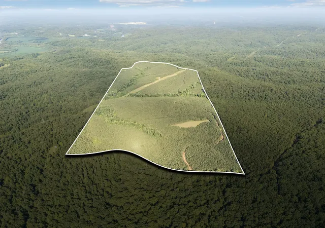 1st image of 0 Old Richmond Rd, Nunnelly, TN 37137 | MLS# 3305292