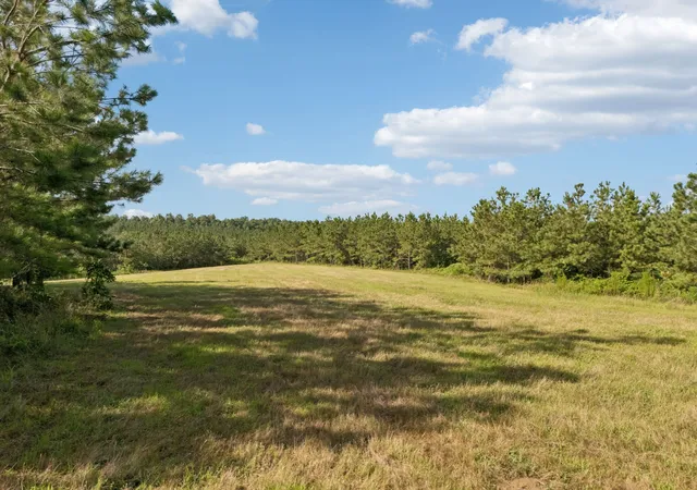 Photo 3 of Land for sale at 0 Old Richmond Rd, Nunnelly, TN 37137 | MLS# 3305292 | Listing updated on 2026-10-03