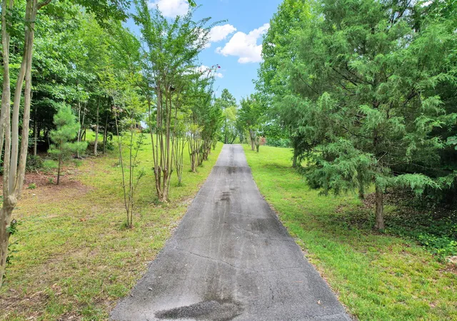 100th image of 1751 County Road 50, Riceville, TN 37370 | MLS# 3285465