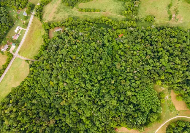 7th image of 3045 Robert Skelley Rd, Columbia, TN 38401 | MLS# 3304764