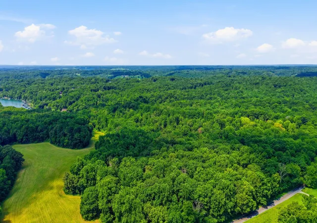 23rd image of 0 Chestnut Ridge Rd, Lynchburg, TN 37352 | MLS# 3285594