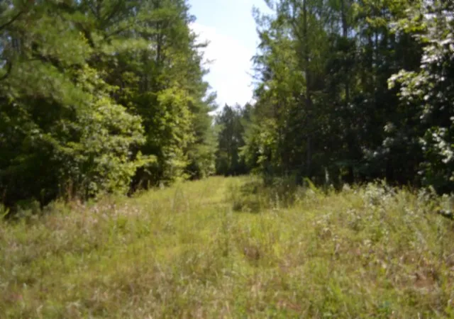 2nd image of 318 Rhodas Way, Sunbright, TN 37872 | MLS# 3285623