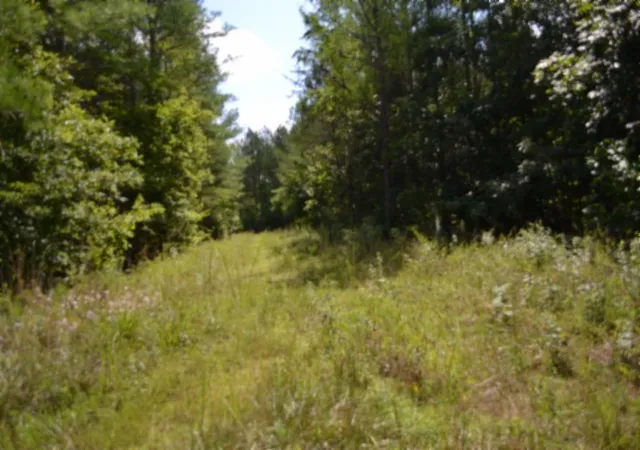 3rd image of 318 Rhodas Way, Sunbright, TN 37872 | MLS# 3285623