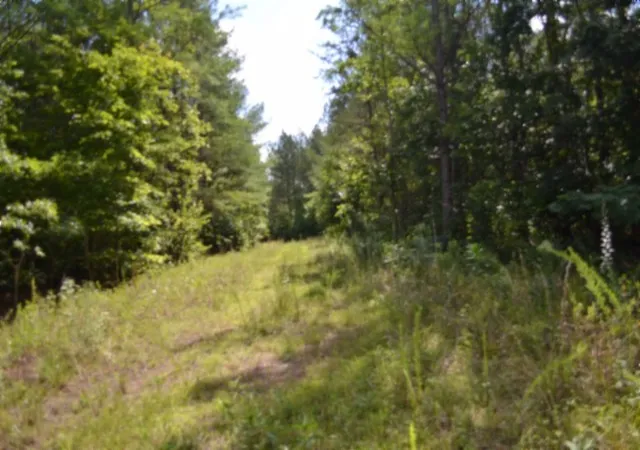 4th image of 318 Rhodas Way, Sunbright, TN 37872 | MLS# 3285623