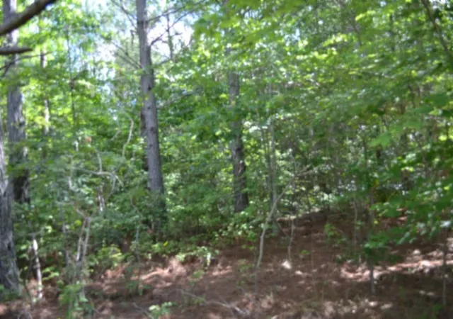 5th image of 318 Rhodas Way, Sunbright, TN 37872 | MLS# 3285623
