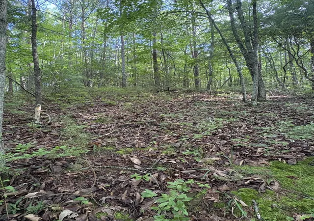 2nd image of 2 Old Furnace Road, Tellico Plains, TN 37385 | MLS# 3285610