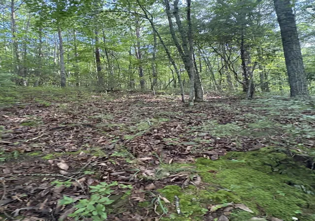 3rd image of 2 Old Furnace Road, Tellico Plains, TN 37385 | MLS# 3285610
