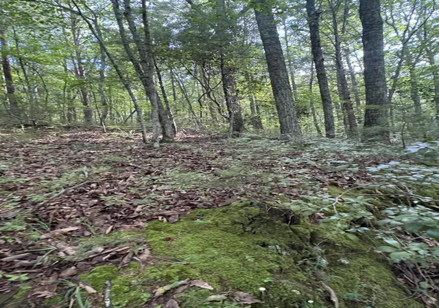 4th image of 2 Old Furnace Road, Tellico Plains, TN 37385 | MLS# 3285610
