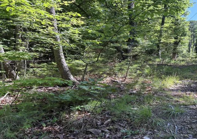 5th image of 2 Old Furnace Road, Tellico Plains, TN 37385 | MLS# 3285610