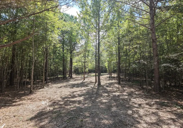 Photo 3 of Land for sale at 0 Point Mason Rd, Big Sandy, TN 38221 | MLS# 3597257 | Listing updated on 2026-09-21