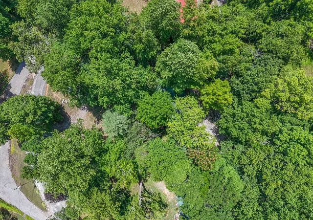 55th image of 1908 Potts Camp Rd, Smithville, TN 37166 | MLS# 3285787