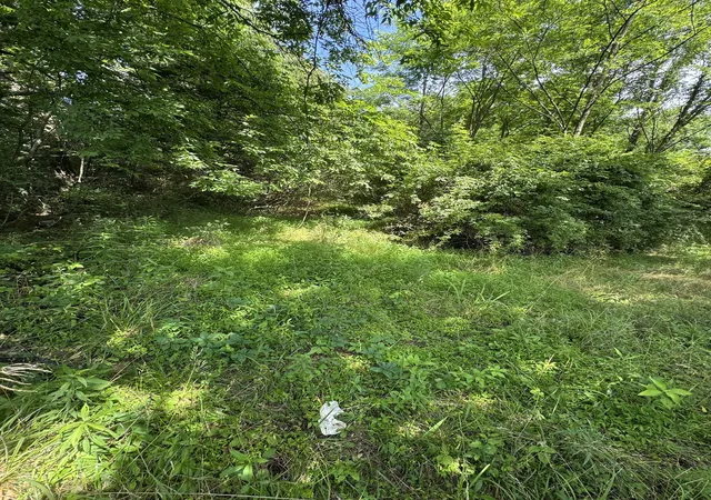 1st image of 9108 Hwy 20, Summertown, TN 38483 | MLS# 3285676