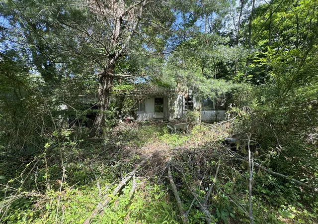 Photo 3 of Single family home for sale at 9108 Highway 20, Summertown, TN 38483 | MLS# 3285676 | Listing updated on 2026-07-31