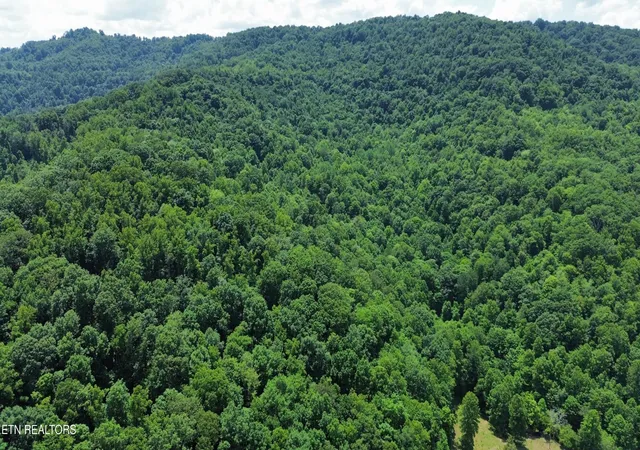 2nd image of 0 Lick Creek Lane, La Follette, TN 37766 | MLS# 3304390