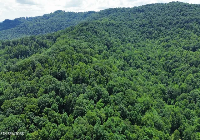 3rd image of 0 Lick Creek Lane, La Follette, TN 37766 | MLS# 3304390
