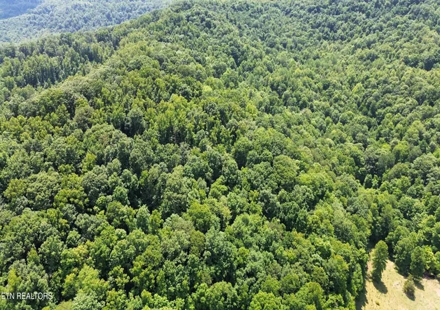 4th image of 0 Lick Creek Lane, La Follette, TN 37766 | MLS# 3304390