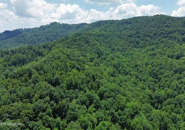5th image of 0 Lick Creek Lane, La Follette, TN 37766 | MLS# 3304390
