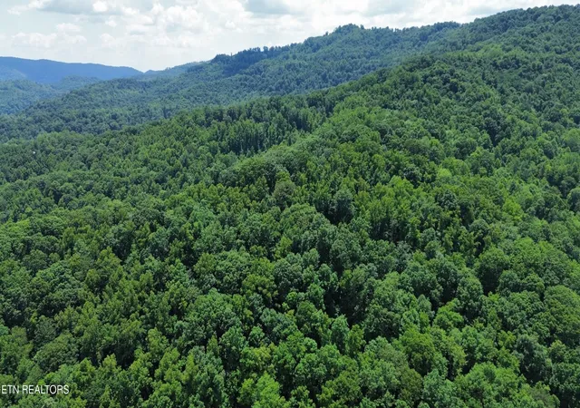 7th image of 0 Lick Creek Lane, La Follette, TN 37766 | MLS# 3304390