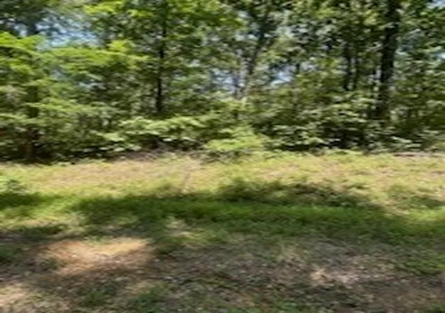 4th image of 0 Pond Dr, Nunnelly, TN 37137 | MLS# 3285713