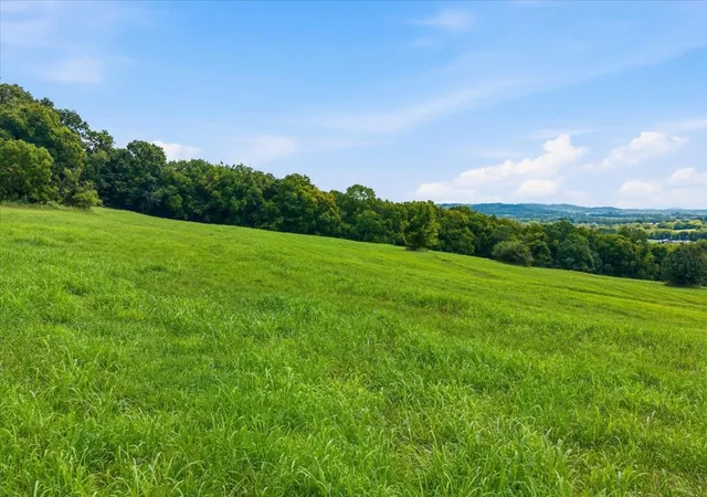 5th image of 3438 Hampshire Pike, Mount Pleasant, TN 38474 | MLS# 3306342