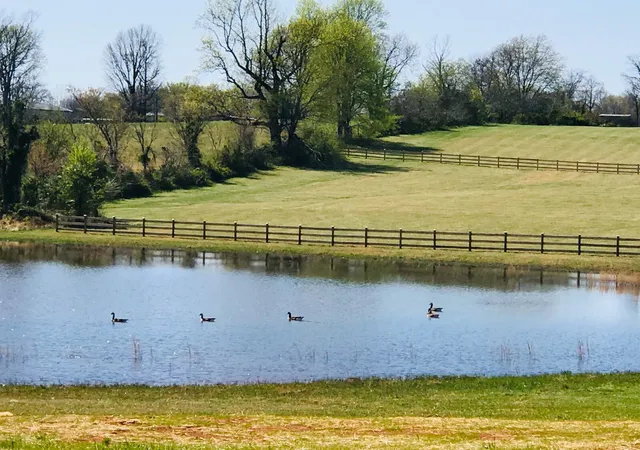 3rd image of 576 Womack Rd, Bethpage, TN 37022 | MLS# 3285854