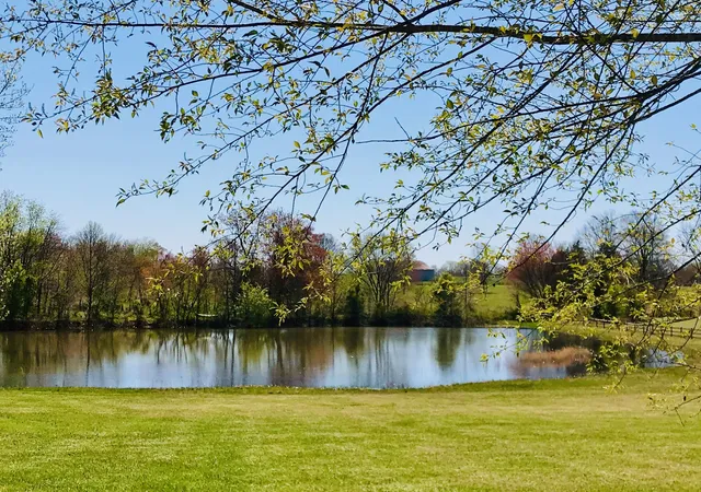 7th image of 576 Womack Rd, Bethpage, TN 37022 | MLS# 3285854
