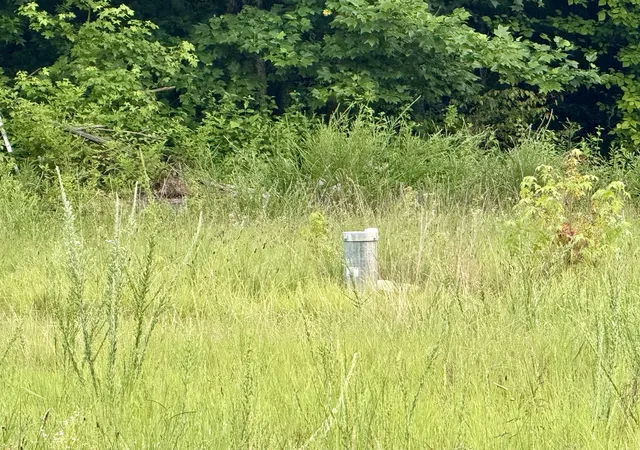 Photo 2 of Land for sale at 825 Lakestone Rd, Waverly, TN 37185 | MLS# 3287544 | Listing updated on 2026-08-02