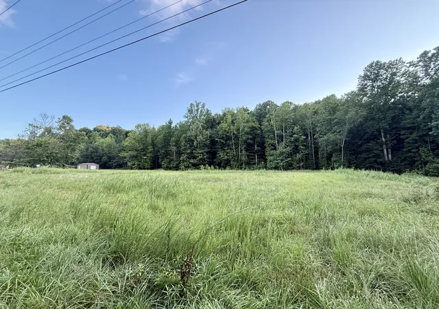 Photo 3 of Land for sale at 825 Lakestone Rd, Waverly, TN 37185 | MLS# 3287544 | Listing updated on 2026-08-02