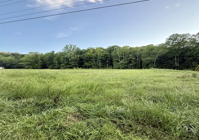 Photo 4 of Land for sale at 825 Lakestone Rd, Waverly, TN 37185 | MLS# 3287544 | Listing updated on 2026-08-02