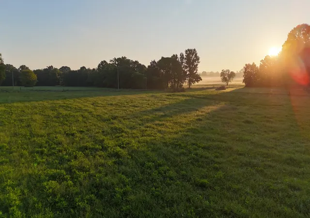 1st image of 161 Hopkins Bridge Rd, Unionville, TN 37180 | MLS# 3288130