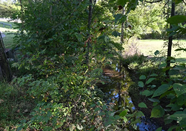 image of 2222 Waynesboro Hwy, Hohenwald, TN 38462 | MLS# 3285996