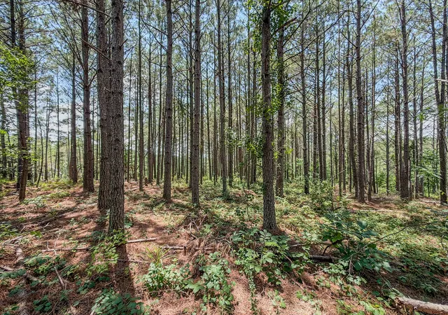 Photo 1 of Land for sale at 0 Big Opossum Crk Rd, Waynesboro, TN 38485 | MLS# 3286146 | Listing updated on 2026-08-20