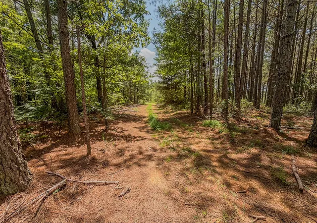 Photo 3 of House for sale at 0 Big Opossum Crk Rd, Waynesboro, TN 38485 | MLS# 3286146 | Listing updated on 2026-08-20