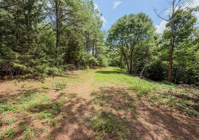 Photo 4 of House for sale at 0 Big Opossum Crk Rd, Waynesboro, TN 38485 | MLS# 3286146 | Listing updated on 2026-08-20