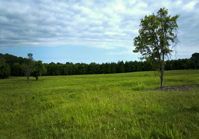 4th image of 10249 Central Pike, Mount Juliet, TN 37122 | MLS# 3288613