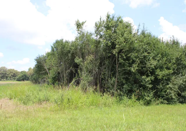 4th image of 0 Manchester Hwy, Morrison, TN 37357 | MLS# 3287590
