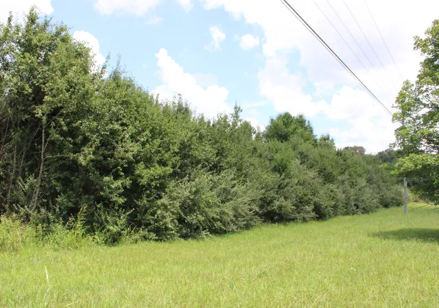 5th image of 0 Manchester Hwy, Morrison, TN 37357 | MLS# 3287590