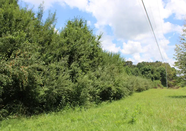 6th image of 0 Manchester Hwy, Morrison, TN 37357 | MLS# 3287590