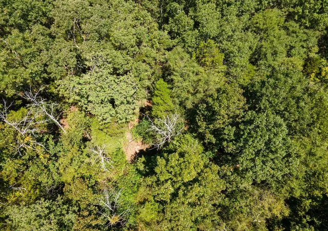 Photo 2 of Land for sale at 0 Shapiro Trl, Columbia, TN 38401 | MLS# 3287550 | Listing updated on 2026-08-20