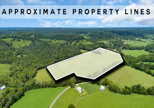 2nd image of 0 Cheatham Springs Road, Wartrace, TN 37183 | MLS# 3287599