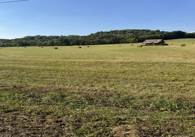 28th image of 0 Cheatham Springs Road, Wartrace, TN 37183 | MLS# 3287599
