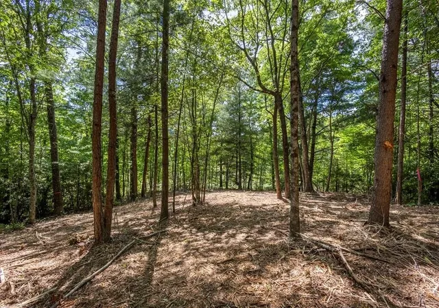 Photo 1 of Land for sale at 42 Donley Rd, Murphy, NC 28906 | MLS# 3337867 | Listing updated on 2026-08-20