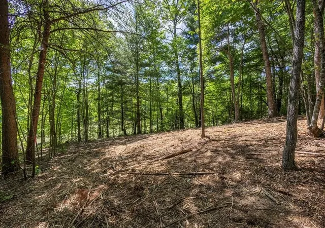 Photo 3 of Land for sale at 42 Donley Rd, Murphy, NC 28906 | MLS# 3337867 | Listing updated on 2026-08-20