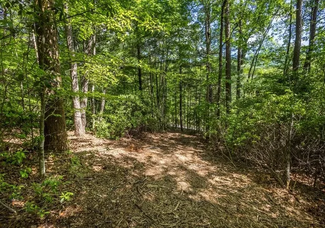 Photo 4 of Land for sale at 42 Donley Rd, Murphy, NC 28906 | MLS# 3337867 | Listing updated on 2026-08-20