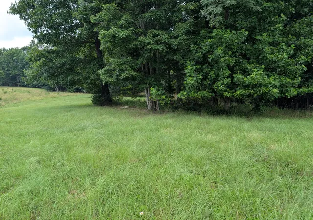 Photo 1 of Land for sale at 580 Preservation Dr, South Pittsburg, TN 37380 | MLS# 3287864 | Listing updated on 2026-08-20