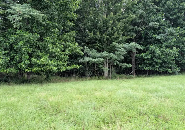 Photo 2 of Land for sale at 580 Preservation Dr, South Pittsburg, TN 37380 | MLS# 3287864 | Listing updated on 2026-08-20