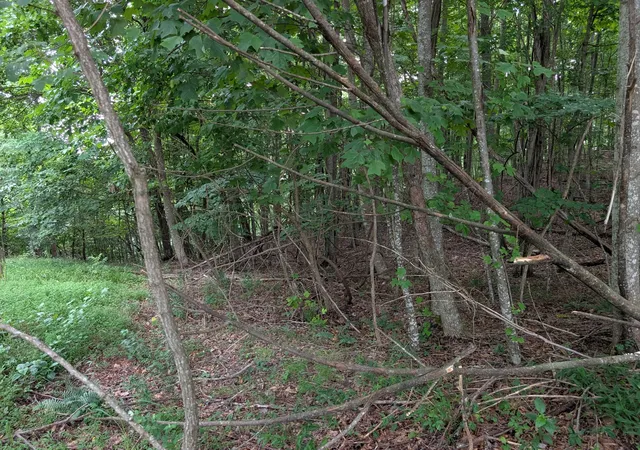 Photo 3 of Land for sale at 580 Preservation Dr, South Pittsburg, TN 37380 | MLS# 3287864 | Listing updated on 2026-08-20